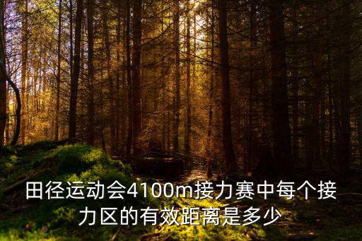 田徑運動會4100m接力賽中每個接力區的有效距離是多少