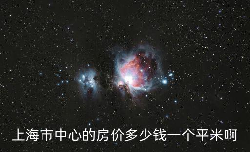 上海市中心的房價(jià)多少錢一個(gè)平米啊