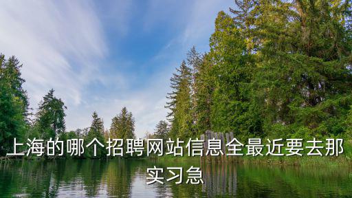 上海的哪個招聘網站信息全最近要去那實習急