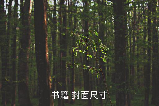 書(shū)籍 封面尺寸
