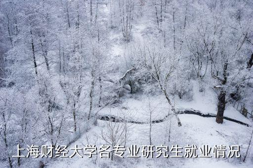上海財經大學各專業研究生就業情況