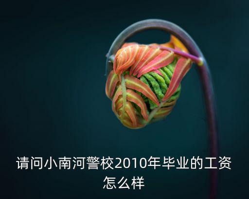 請問小南河警校2010年畢業的工資怎么樣