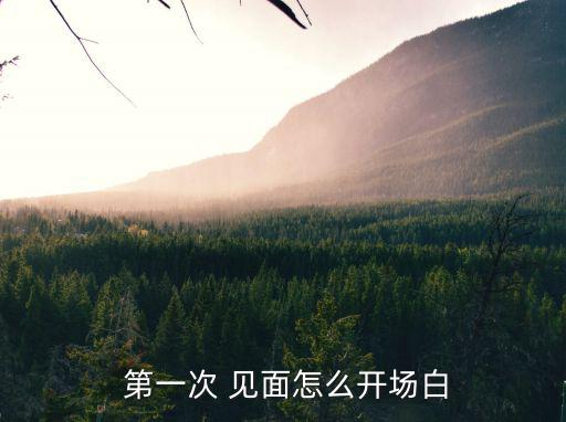  第一次 見(jiàn)面怎么開(kāi)場(chǎng)白