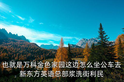 也就是萬科金色家園這邊怎么坐公車去新東方英語總部漿洗街利民
