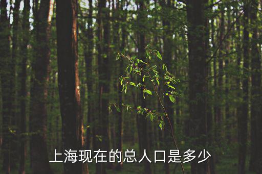 上海現在的總人口是多少