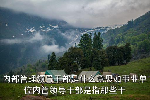 內部管理領導干部是什么意思如事業單位內管領導干部是指那些干