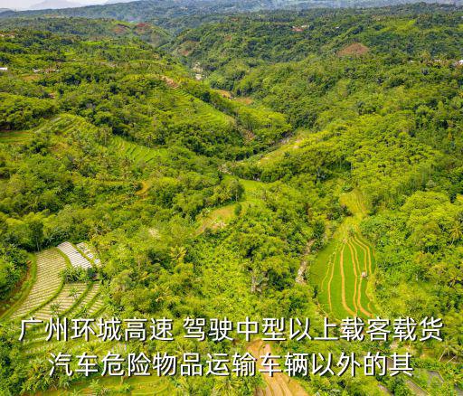 廣州環城高速 駕駛中型以上載客載貨汽車危險物品運輸車輛以外的其