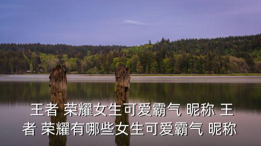  王者 榮耀女生可愛霸氣 昵稱 王者 榮耀有哪些女生可愛霸氣 昵稱