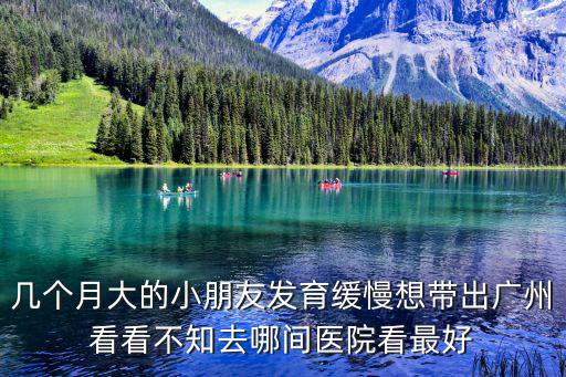 幾個月大的小朋友發育緩慢想帶出廣州看看不知去哪間醫院看最好