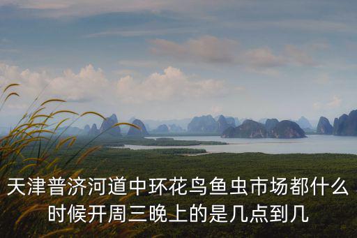 天津市普濟(jì)河道花鳥市場開業(yè)了嗎，天津普濟(jì)河橋花鳥魚蟲市場周三晚上下雨集市開不開