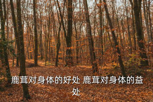  鹿茸對身體的好處 鹿茸對身體的益處