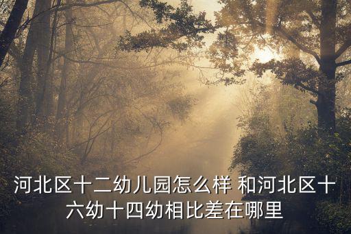 天津市河北區河北十四幼，天津市河北區哪里有學前班