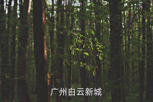 廣州白云新城