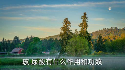 玻尿酸作用,玻尿酸原液又叫hyaluronicacid