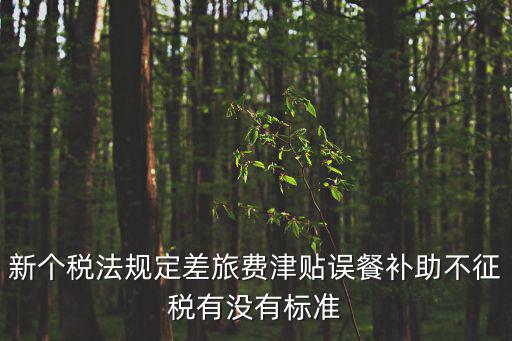 新個稅法規定差旅費津貼誤餐補助不征稅有沒有標準
