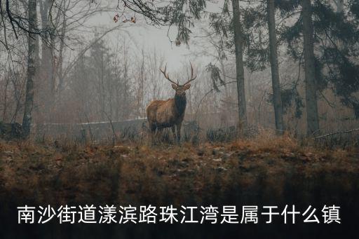 南沙街道漾濱路珠江灣是屬于什么鎮
