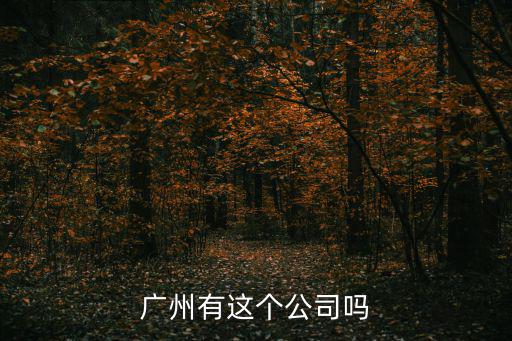 廣州有這個(gè)公司嗎