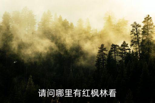 請問哪里有紅楓林看