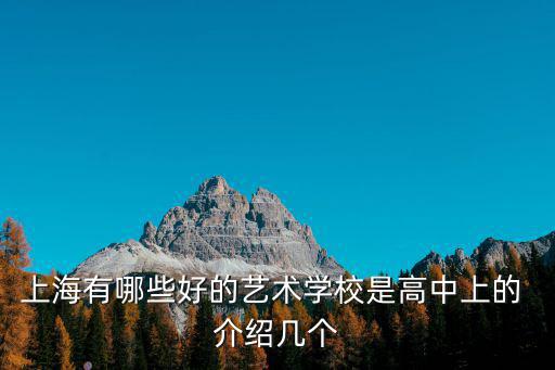 上海有哪些好的藝術(shù)學(xué)校是高中上的 介紹幾個