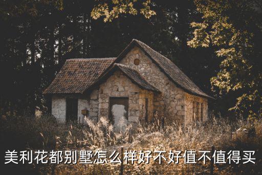 美利花都別墅怎么樣好不好值不值得買