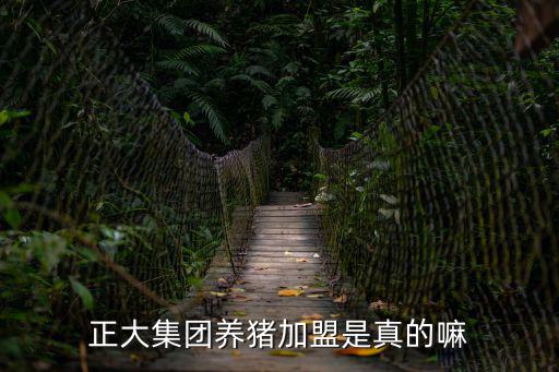 加盟養豬場，我想加入六合養豬需要什么條件怎樣加盟