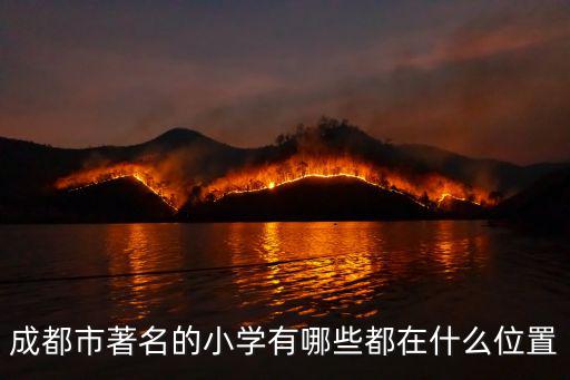 成都市著名的小學有哪些都在什么位置