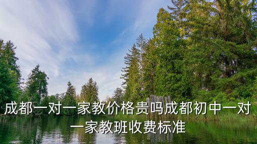 成都一對一家教價格貴嗎成都初中一對一家教班收費標(biāo)準(zhǔn)