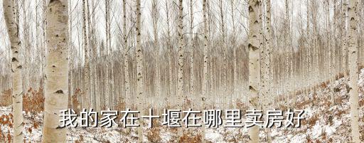 我的家在十堰在哪里賣房好