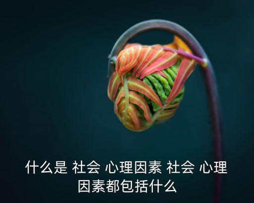 社會(huì)心理,社會(huì)心理分類體系包括六大方面