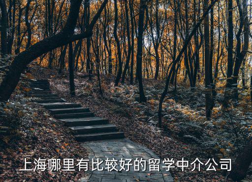 上海留學中介機構，上海留學中介哪家比較好想去意大利
