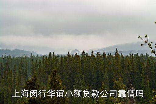 上海閔行華誼小額貸款公司靠譜嗎