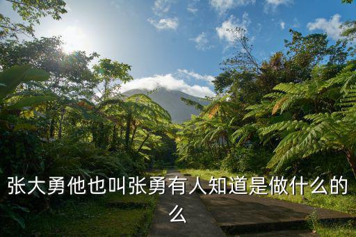 張大勇他也叫張勇有人知道是做什么的么