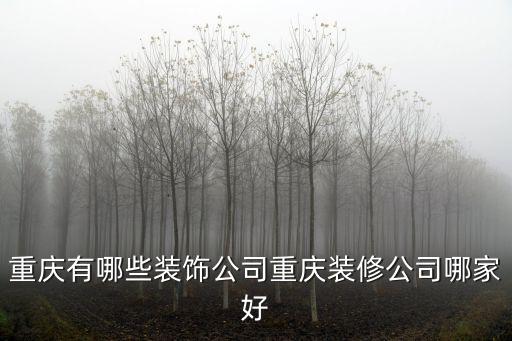 年重慶市 樂尚裝飾，重慶樂尚裝飾公司靠譜嗎會不會坑人呢