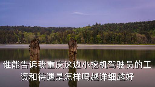 誰能告訴我重慶這邊小挖機駕駛員的工資和待遇是怎樣嗎越詳細越好