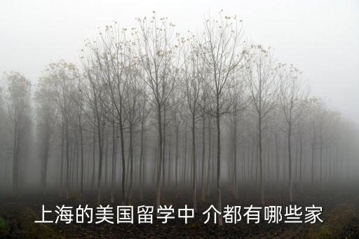 上海的美國留學中 介都有哪些家