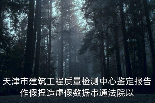 天津市建筑工程質量檢測中心鑒定報告作假捏造虛假數據串通法院以