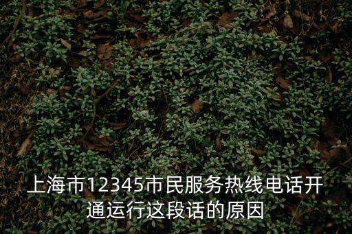 上海市民熱線是干嘛的，上海市12345市民服務(wù)熱線電話開通運行這段話的原因