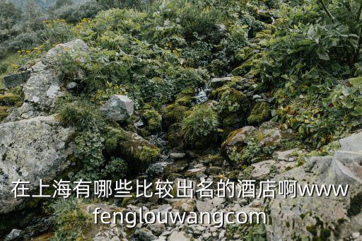 上海中心酒店名稱，上海有名的酒店有