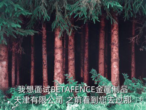 我想面試BETAFENCE金屬制品天津有限公司 之前看到您去過那