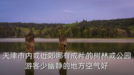 天津市內(nèi)或近郊哪有成片的樹林或公園游客少幽靜的地方空氣好
