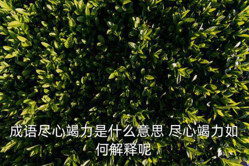 成語盡心竭力是什么意思 盡心竭力如何解釋呢