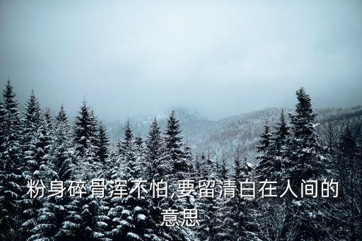 粉身碎骨的意思,從塵埃到粉身碎骨