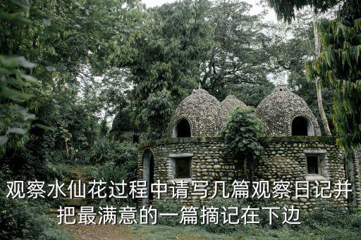 觀察水仙花過程中請寫幾篇觀察日記并把最滿意的一篇摘記在下邊