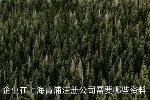 企業(yè)在上海青浦注冊公司需要哪些資料