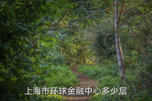 上海市環球金融中心多少層