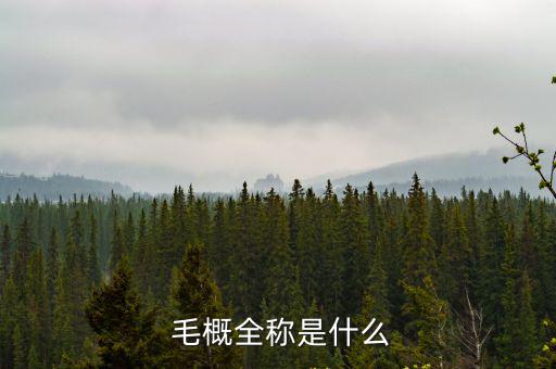 毛概課是什么,《毛澤東思想概論》是大學思想政治課之一?