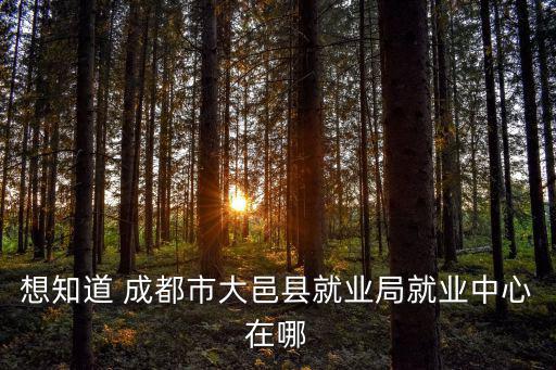 想知道 成都市大邑縣就業(yè)局就業(yè)中心在哪