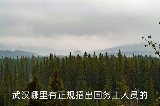 武漢有哪些正規出國公司，武漢有正規的出國打工中介嗎