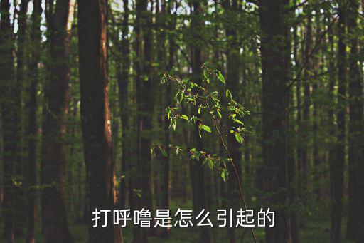  打呼嚕是怎么引起的