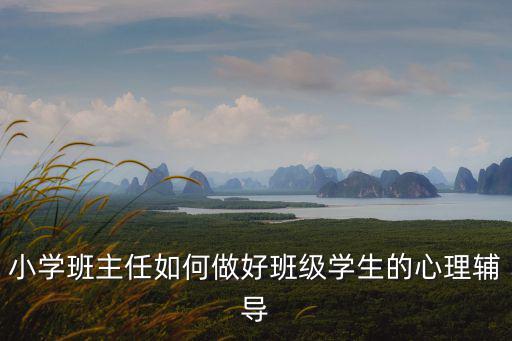 小學(xué)班主任如何做好班級(jí)學(xué)生的心理輔導(dǎo)